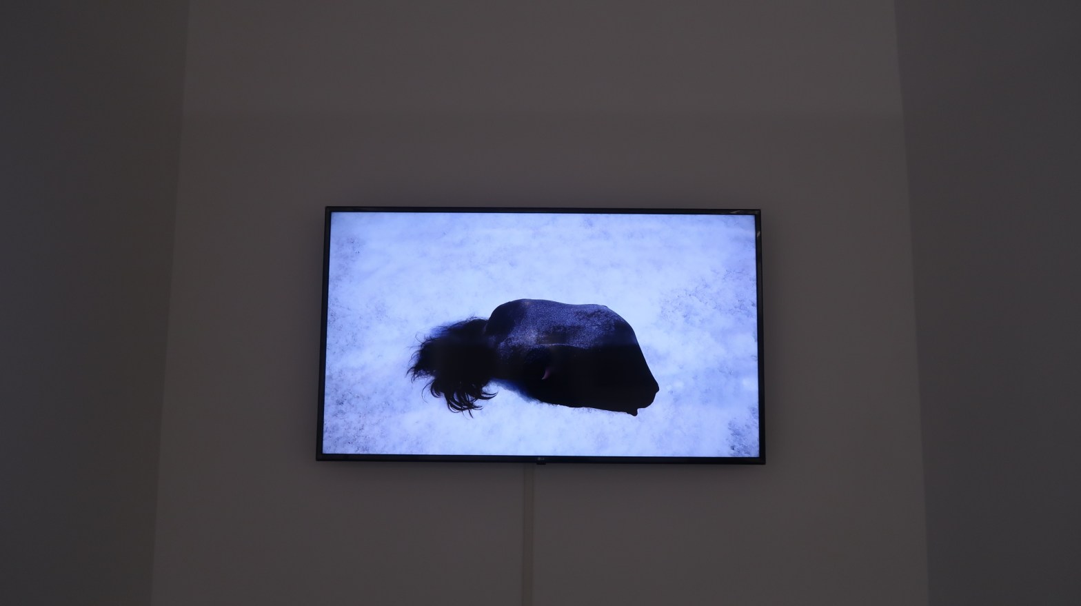 นิทรรศการJWDartspace